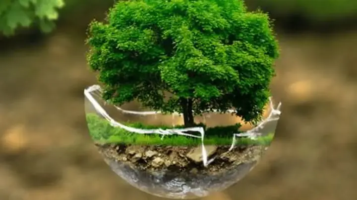 Cómo se Fabrica una Hoja de Papel